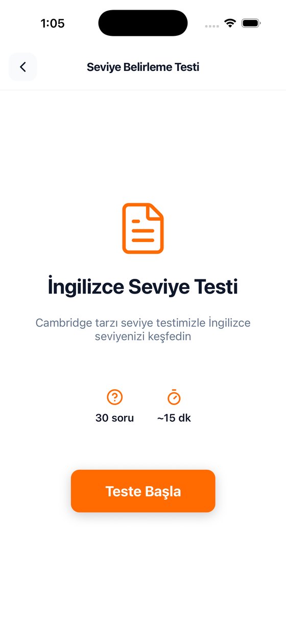 Seviye belirleme testi ekranı